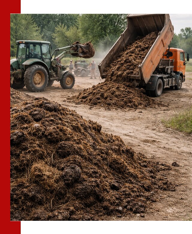 Доставка навоза самосвалами в Брянске для сельхозпотребностей
