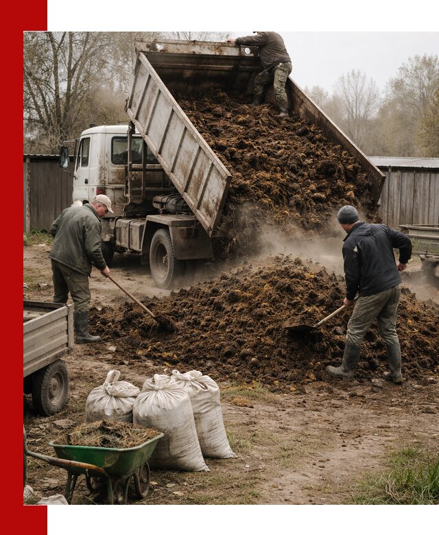 Доставка коровьего навоза самосвалом в Брянске
